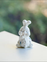 Load image into Gallery viewer, White phalaenopsis bunny princess
